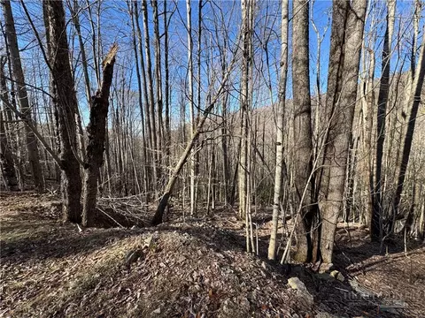 lot3 Buckeye Ridge Rd, Beech Mountain, NC 28604 photo 4