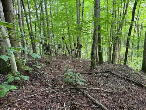 lot3 Buckeye Ridge Rd, Beech Mountain, NC 28604
