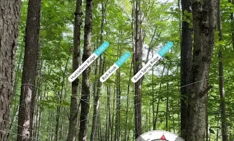 lot3 Buckeye Ridge Rd, Beech Mountain, NC 28604 photo 6
