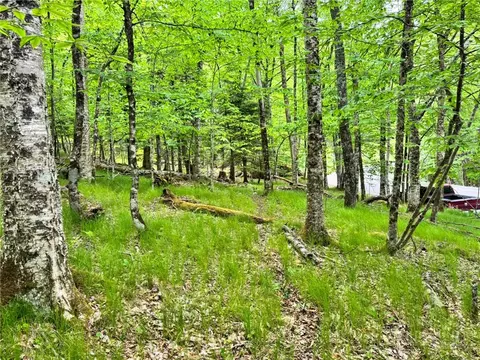 146 Hornbeam Rd, Beech Mountain, NC 28604 photo 6