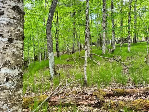 146 Hornbeam Rd, Beech Mountain, NC 28604 photo 12