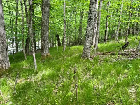 146 Hornbeam Rd, Beech Mountain, NC 28604 photo 7