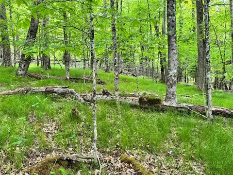 146 Hornbeam Rd, Beech Mountain, NC 28604 photo 3