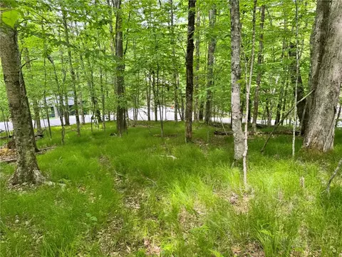 146 Hornbeam Rd, Beech Mountain, NC 28604 photo 11