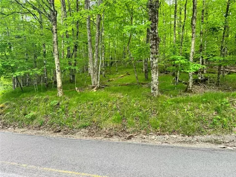 146 Hornbeam Rd, Beech Mountain, NC 28604