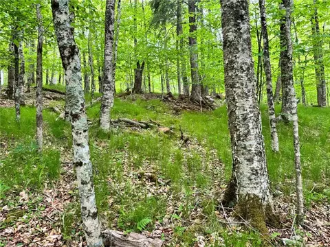 146 Hornbeam Rd, Beech Mountain, NC 28604 photo 9