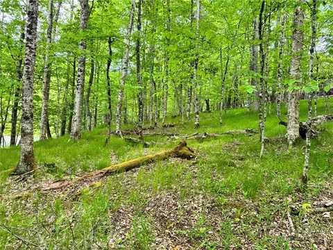 146 Hornbeam Rd, Beech Mountain, NC 28604 photo 10