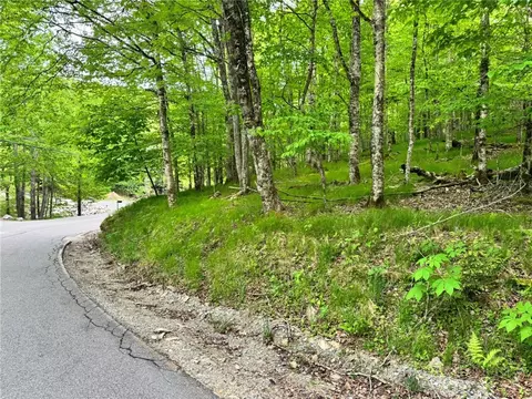 146 Hornbeam Rd, Beech Mountain, NC 28604 photo 2