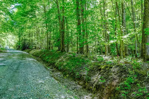 tbd Buckeye Ridge Rd, Beech Mountain, NC 28604 photo 3