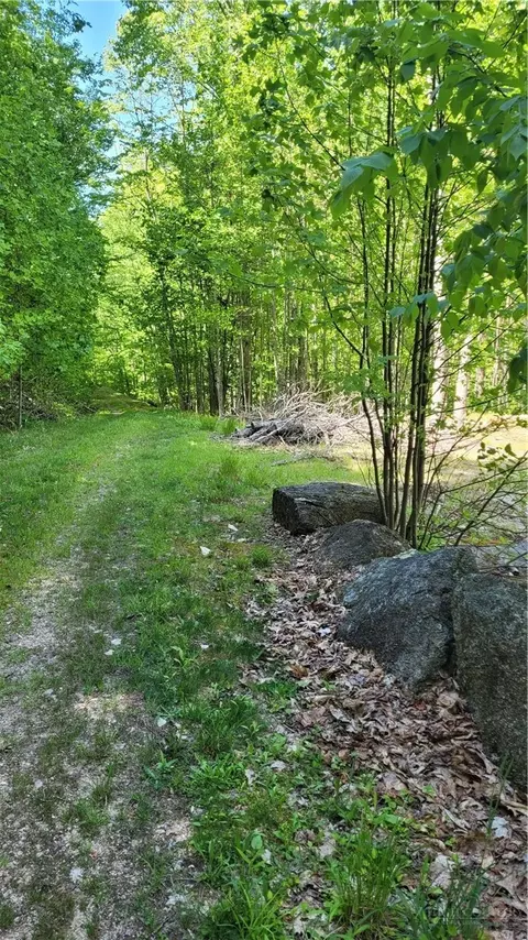 tbd Buckeye Ridge Rd, Beech Mountain, NC 28604 photo 10