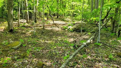 tbd Buckeye Ridge Rd, Beech Mountain, NC 28604 photo 2