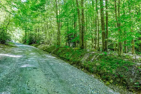 tbd Buckeye Ridge Rd, Beech Mountain, NC 28604 photo 4