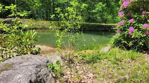 tbd Buckeye Ridge Rd, Beech Mountain, NC 28604 photo 6