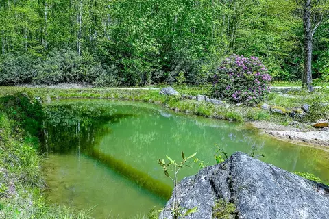 tbd Buckeye Ridge Rd, Beech Mountain, NC 28604 photo 7
