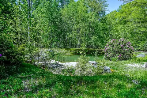 tbd Buckeye Ridge Rd, Beech Mountain, NC 28604 photo 8