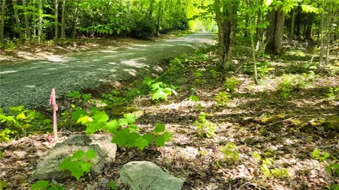 tbd Buckeye Ridge Rd, Beech Mountain, NC 28604