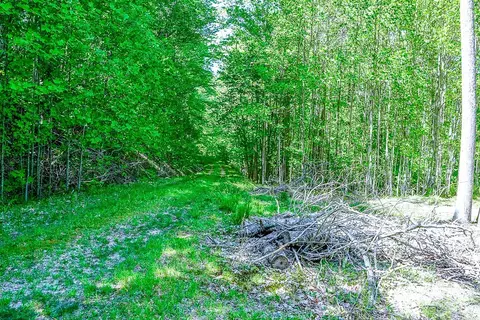 tbd Buckeye Ridge Rd, Beech Mountain, NC 28604 photo 11