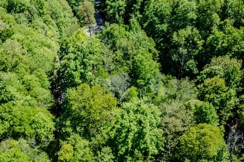 tbd Buckeye Ridge Rd, Beech Mountain, NC 28604 photo 12