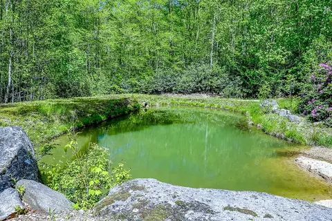 tbd Buckeye Ridge Rd, Beech Mountain, NC 28604 photo 5