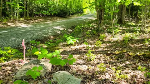tbd Buckeye Ridge Rd, Beech Mountain, NC 28604