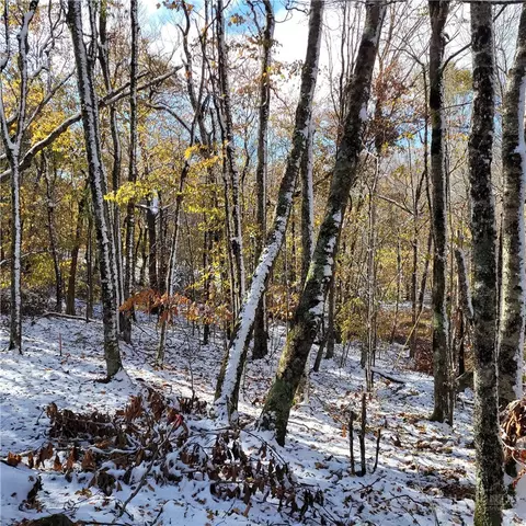1026 Charter Hills Rd, Beech Mountain, NC 28604 photo 11