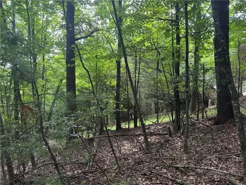 tbd Wildcat Estates Dr, Deep Gap, NC 28618 photo 16