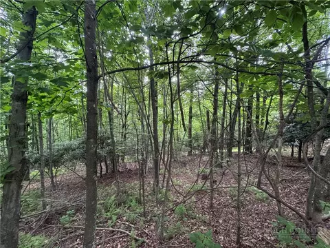 tbd Wildcat Estates Dr, Deep Gap, NC 28618 photo 10