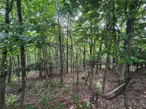 tbd Wildcat Estates Dr, Deep Gap, NC 28618 photo 7