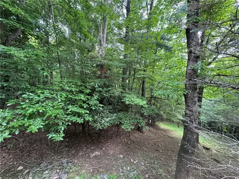 tbd Wildcat Estates Dr, Deep Gap, NC 28618 photo 24