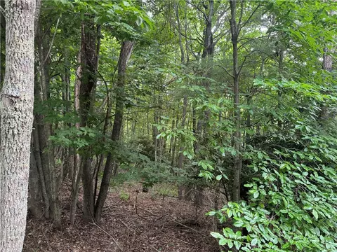 tbd Wildcat Estates Dr, Deep Gap, NC 28618 photo 21