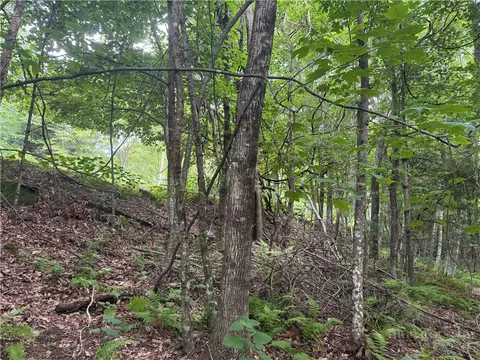 tbd Wildcat Estates Dr, Deep Gap, NC 28618 photo 14