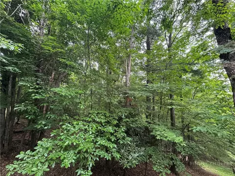tbd Wildcat Estates Dr, Deep Gap, NC 28618 photo 26