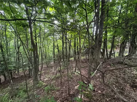 tbd Wildcat Estates Dr, Deep Gap, NC 28618 photo 12
