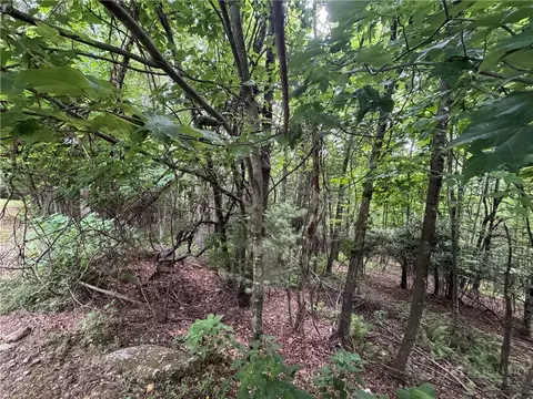 tbd Wildcat Estates Dr, Deep Gap, NC 28618 photo 9