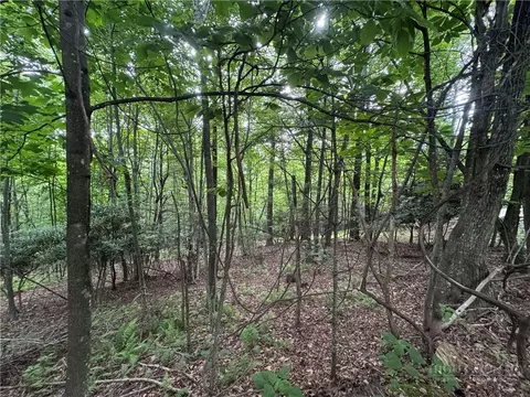tbd Wildcat Estates Dr, Deep Gap, NC 28618 photo 11