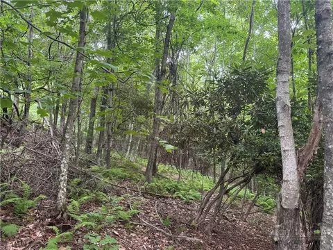 tbd Wildcat Estates Dr, Deep Gap, NC 28618 photo 13