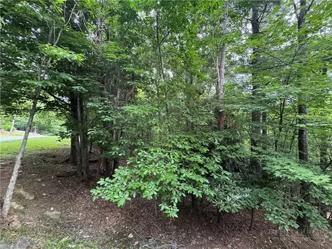 tbd Wildcat Estates Dr, Deep Gap, NC 28618 photo 25