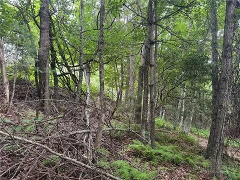 tbd Wildcat Estates Dr, Deep Gap, NC 28618 photo 27