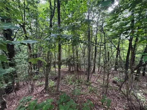 tbd Wildcat Estates Dr, Deep Gap, NC 28618 photo 6