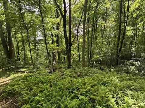 lot62 Man O War S, Vilas, NC 28692