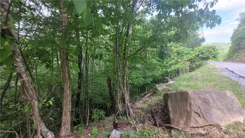 425 Pinnacle Ridge Rd, Beech Mountain, NC 28604 photo 6