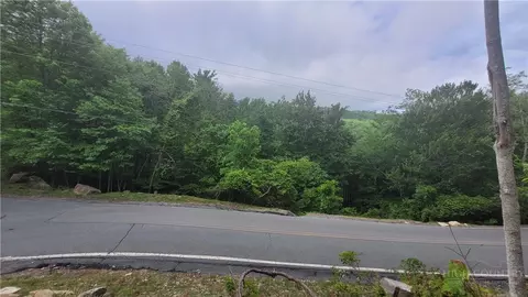 425 Pinnacle Ridge Rd, Beech Mountain, NC 28604 photo 13