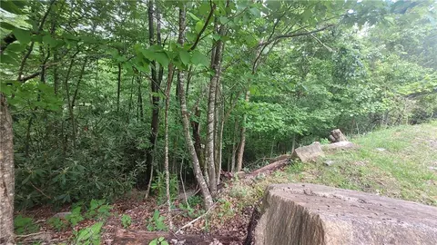 425 Pinnacle Ridge Rd, Beech Mountain, NC 28604 photo 11