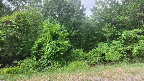 425 Pinnacle Ridge Rd, Beech Mountain, NC 28604 photo 8