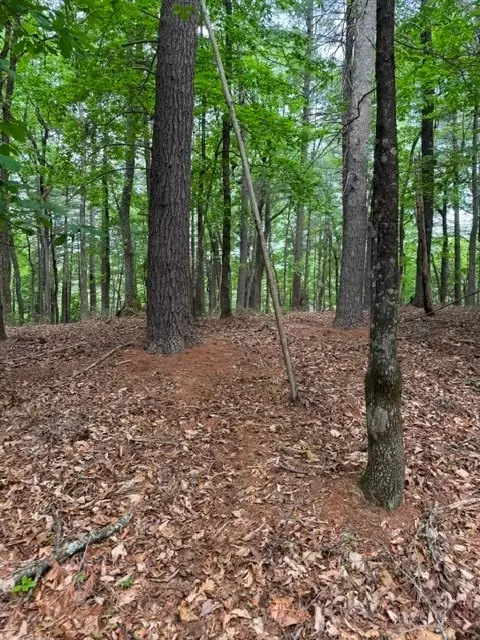 22 Elk Ridge Rd, Ferguson, NC 28624 photo 8
