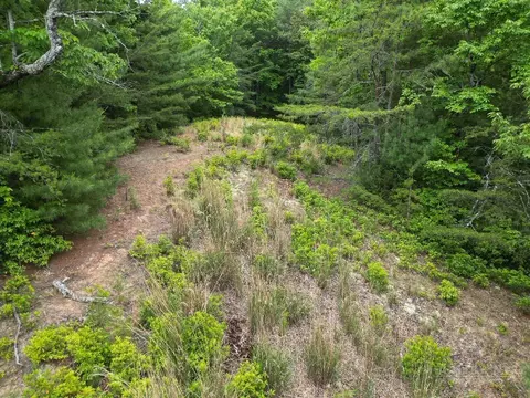 22 Elk Ridge Rd, Ferguson, NC 28624 photo 9