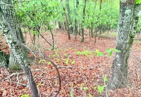 lot61 Sams Drive Andor James St, Fleetwood, NC 28626