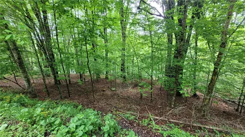 130 E Blueberry Ln, Beech Mountain, NC 28604