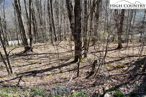 130 E Blueberry Ln, Beech Mountain, NC 28604