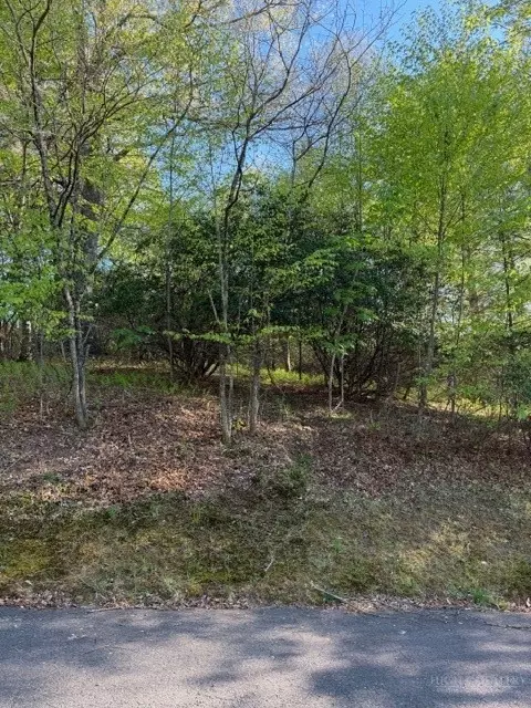 lot Apt 29 Isabel Way, Piney Creek, NC 28663